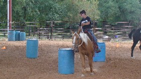 Christi Rains' Level 1 & Level 2 students learn positive patterns to teach their horses